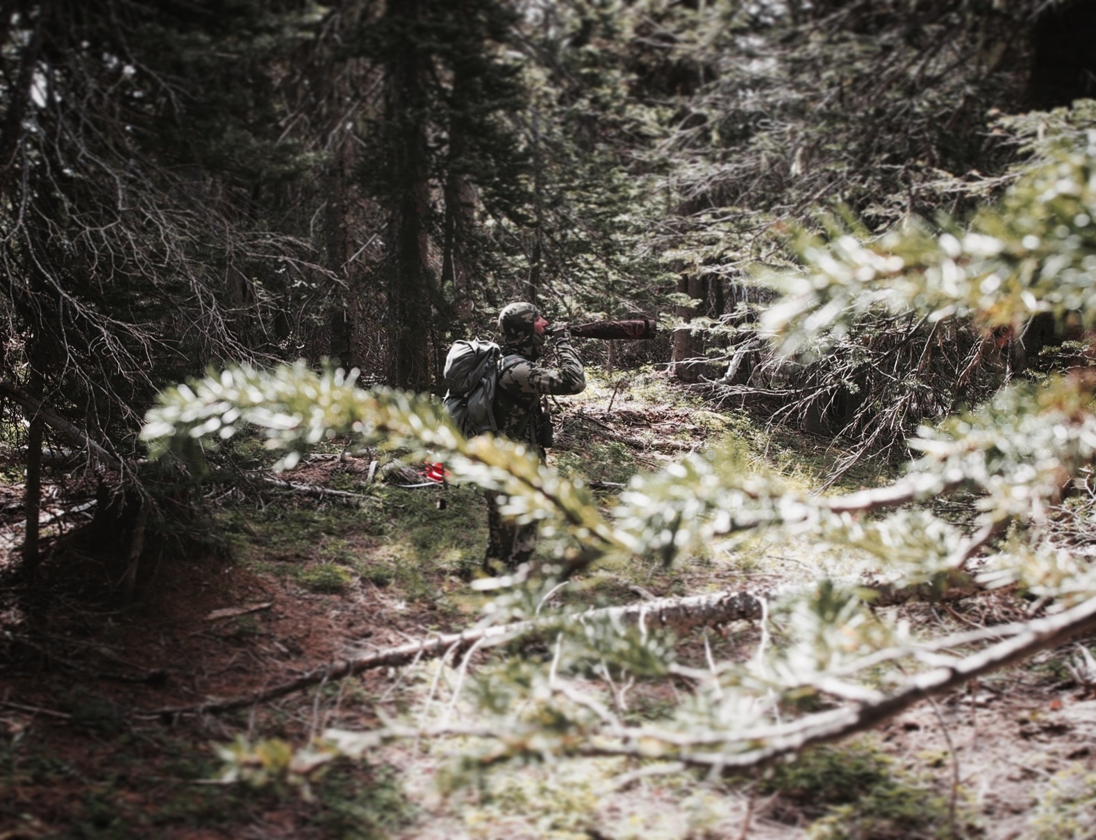 My first season using this type of call. It's incredible how realistic it sounds. Photo by Dustin Evans