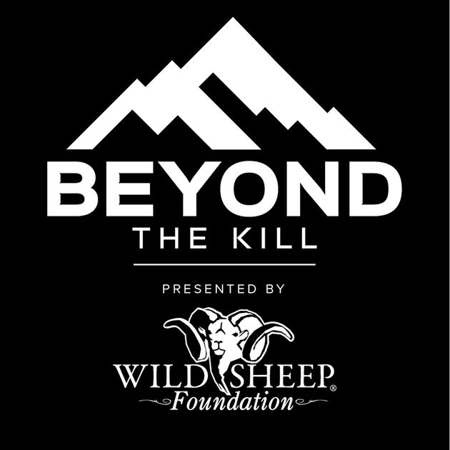 Beyond the Kill.jpg