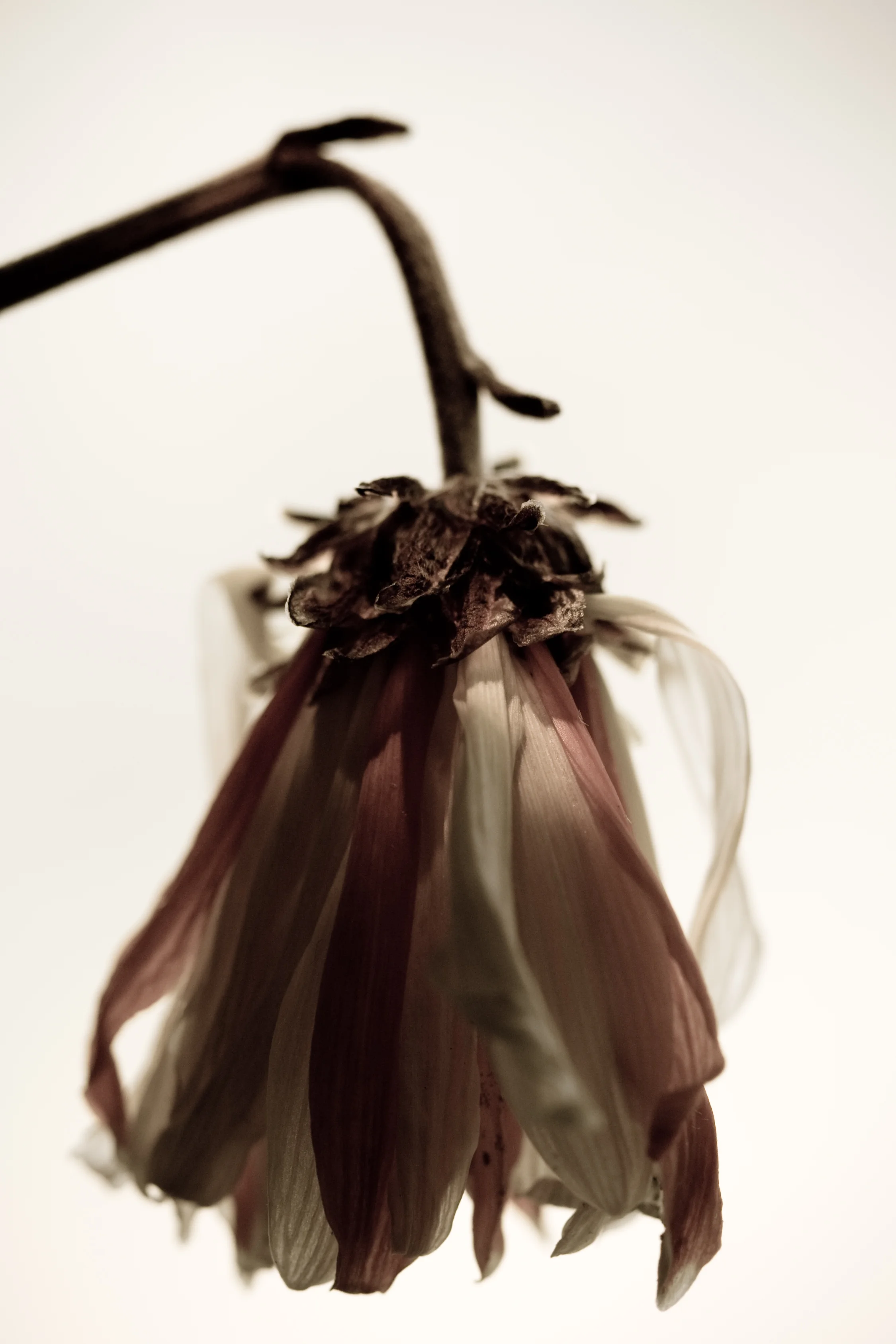 IMG_5012-Edit-2.jpg