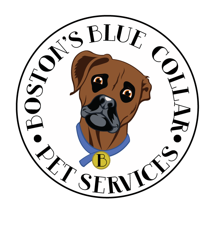 Boston's Blue Collar Pet Services