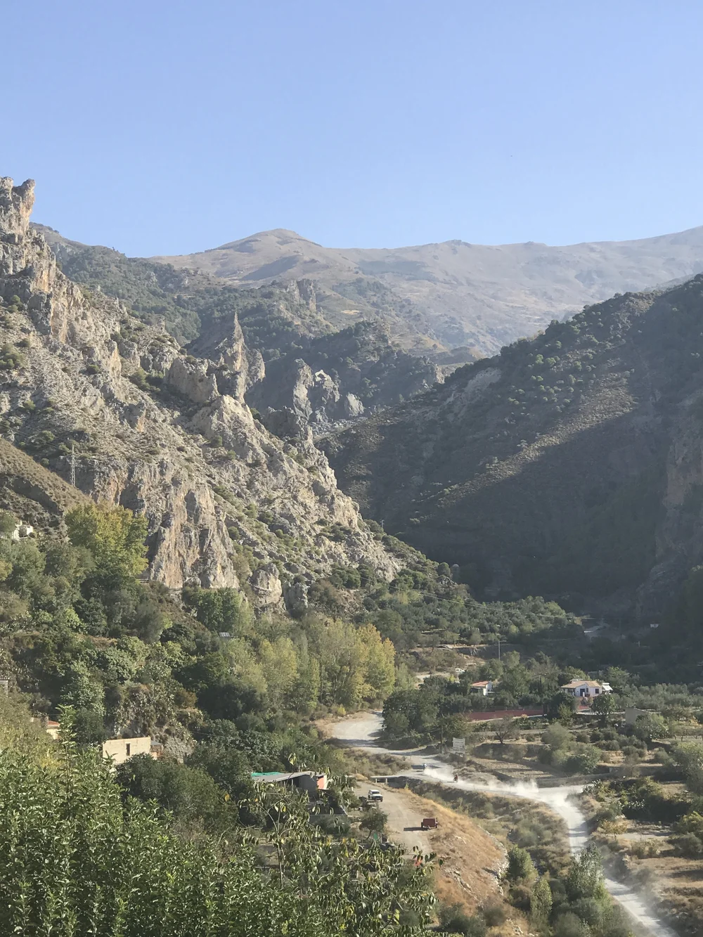 Olive-growing Andalucía