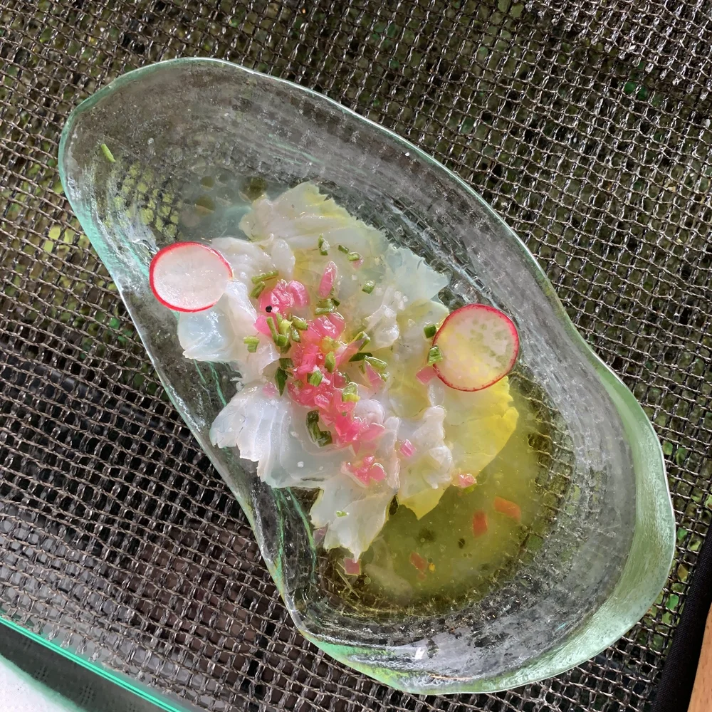 Sargo Ceviche