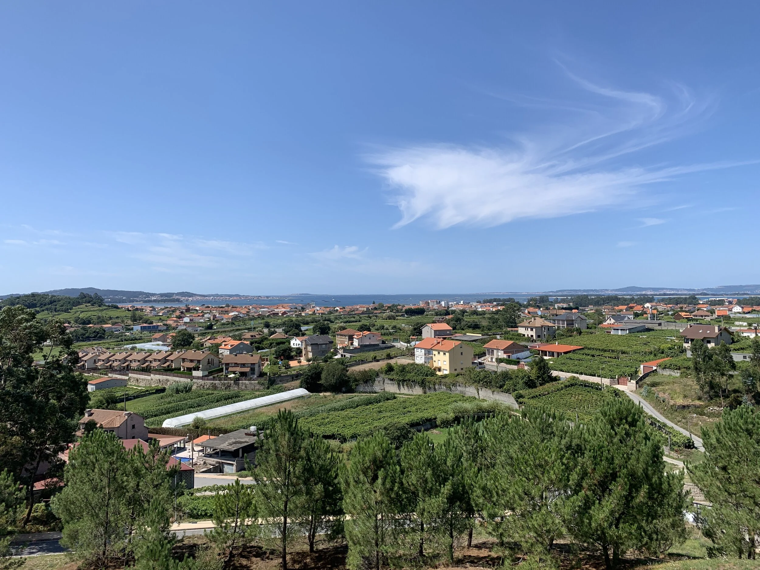 Discovering Rias Baixas:  Home of the Albariño