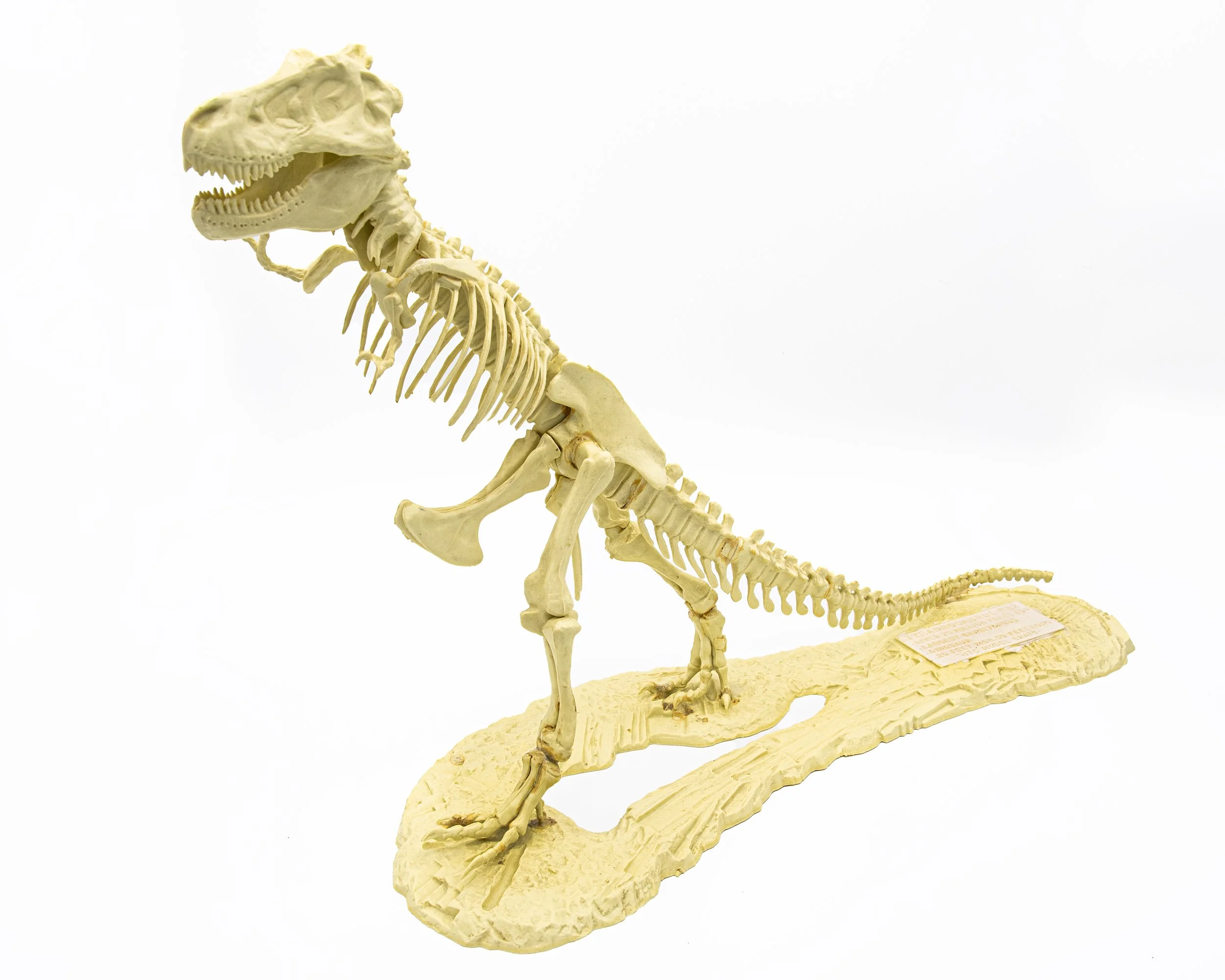 T-Rex Model, Circa 1966