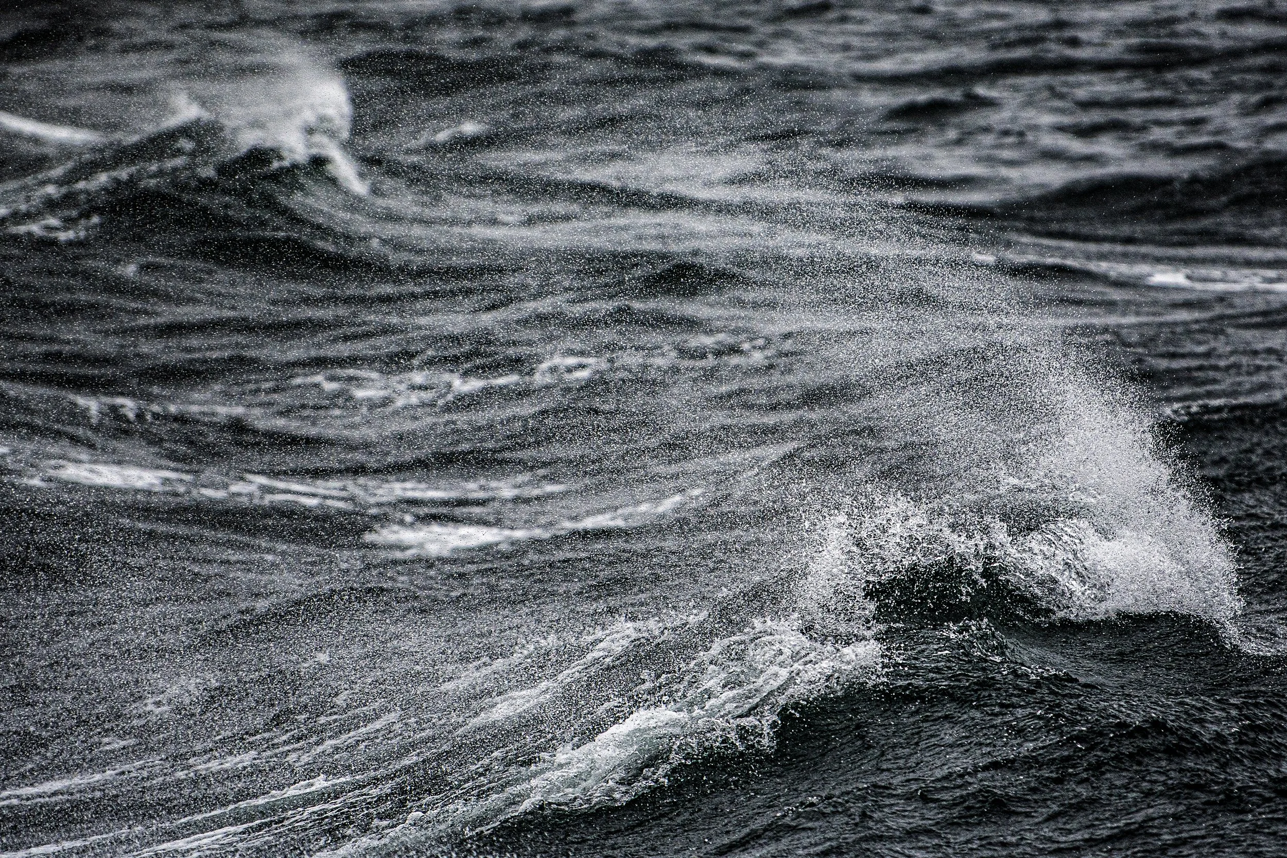 Salish Sea in a Mood