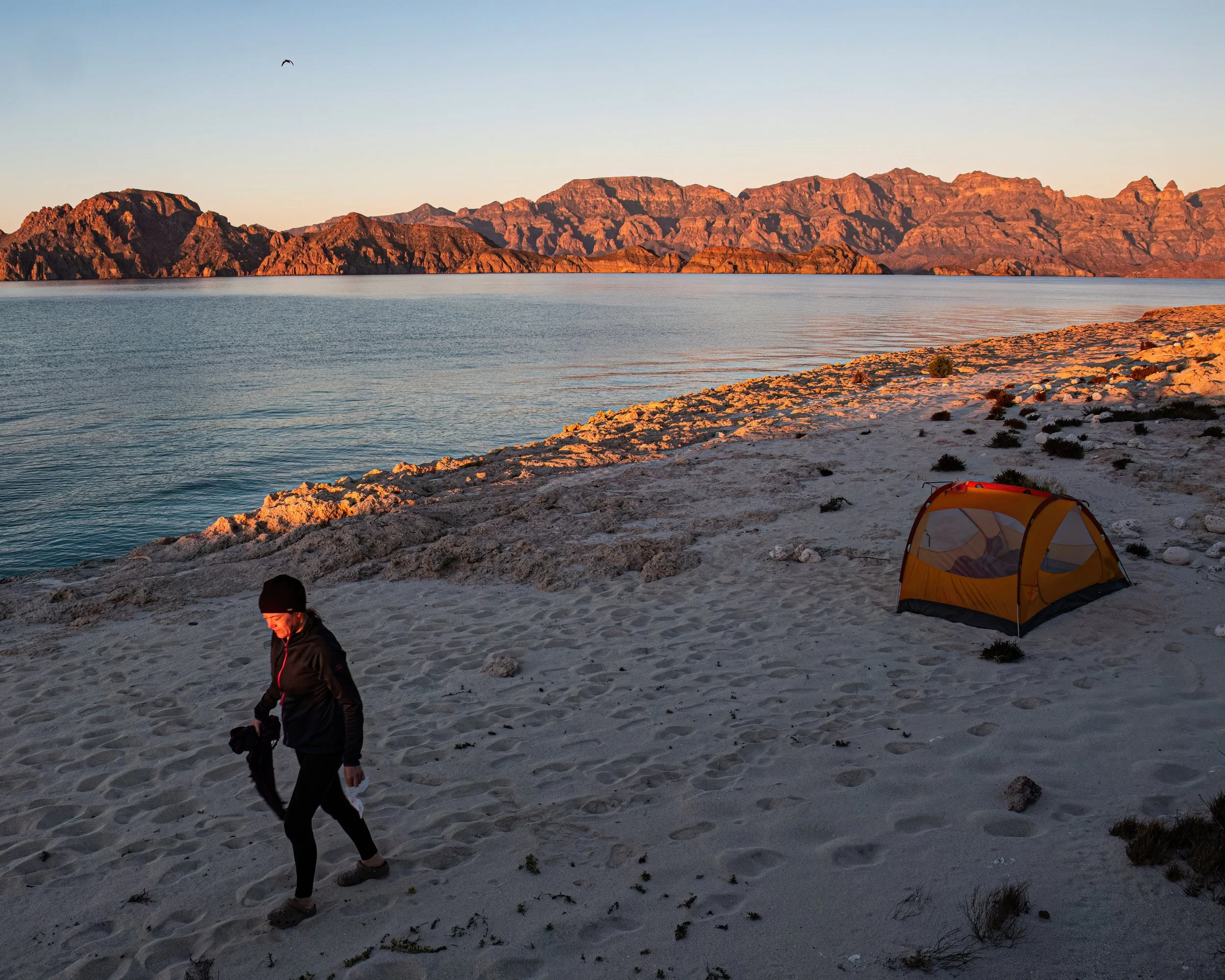 Dawn, Baja