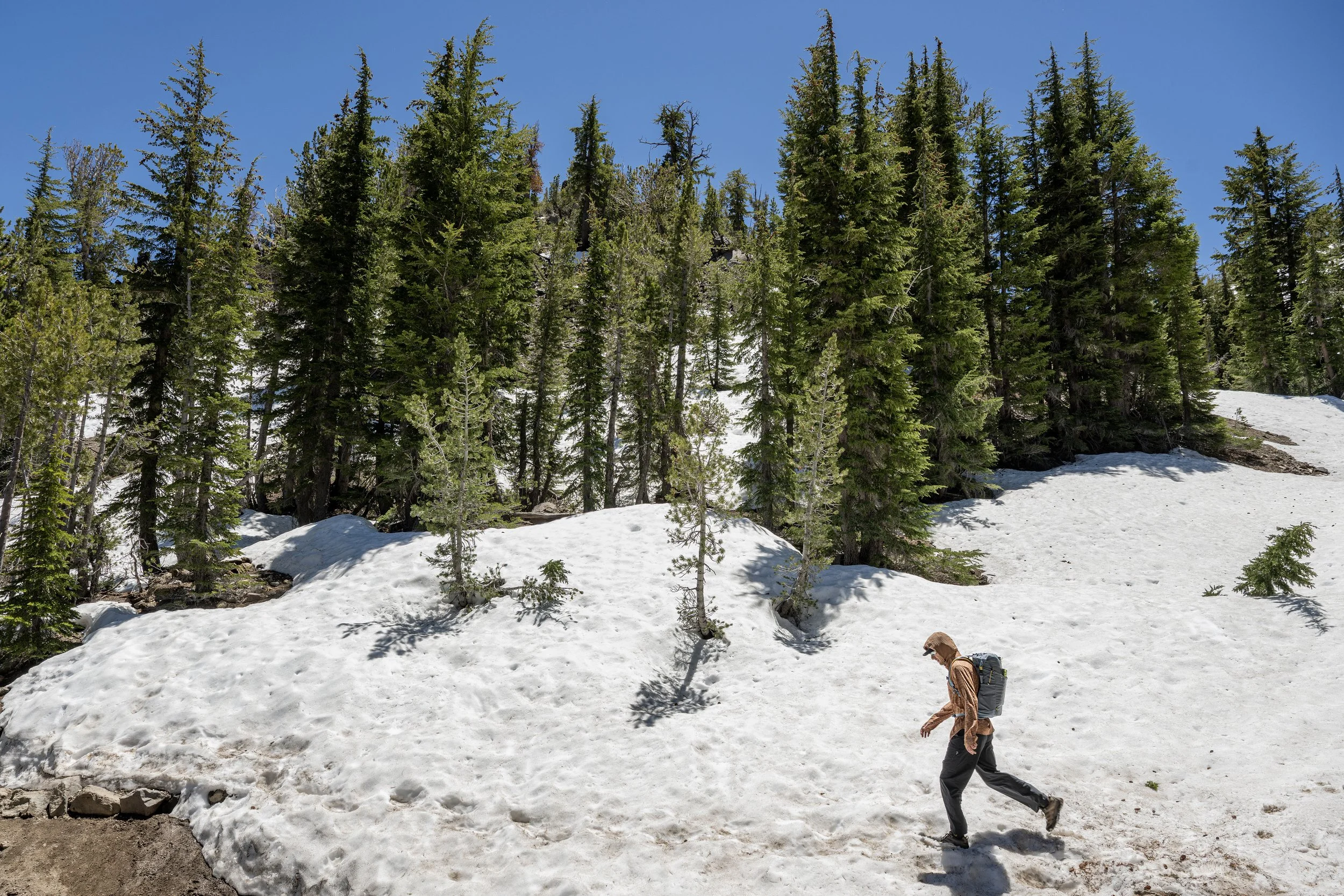 Along the Tahoe Rim Trail