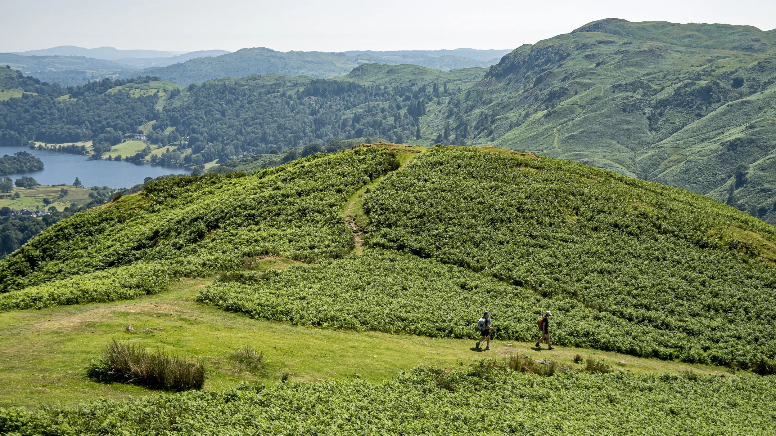 On Helm Crag, Lake District, England