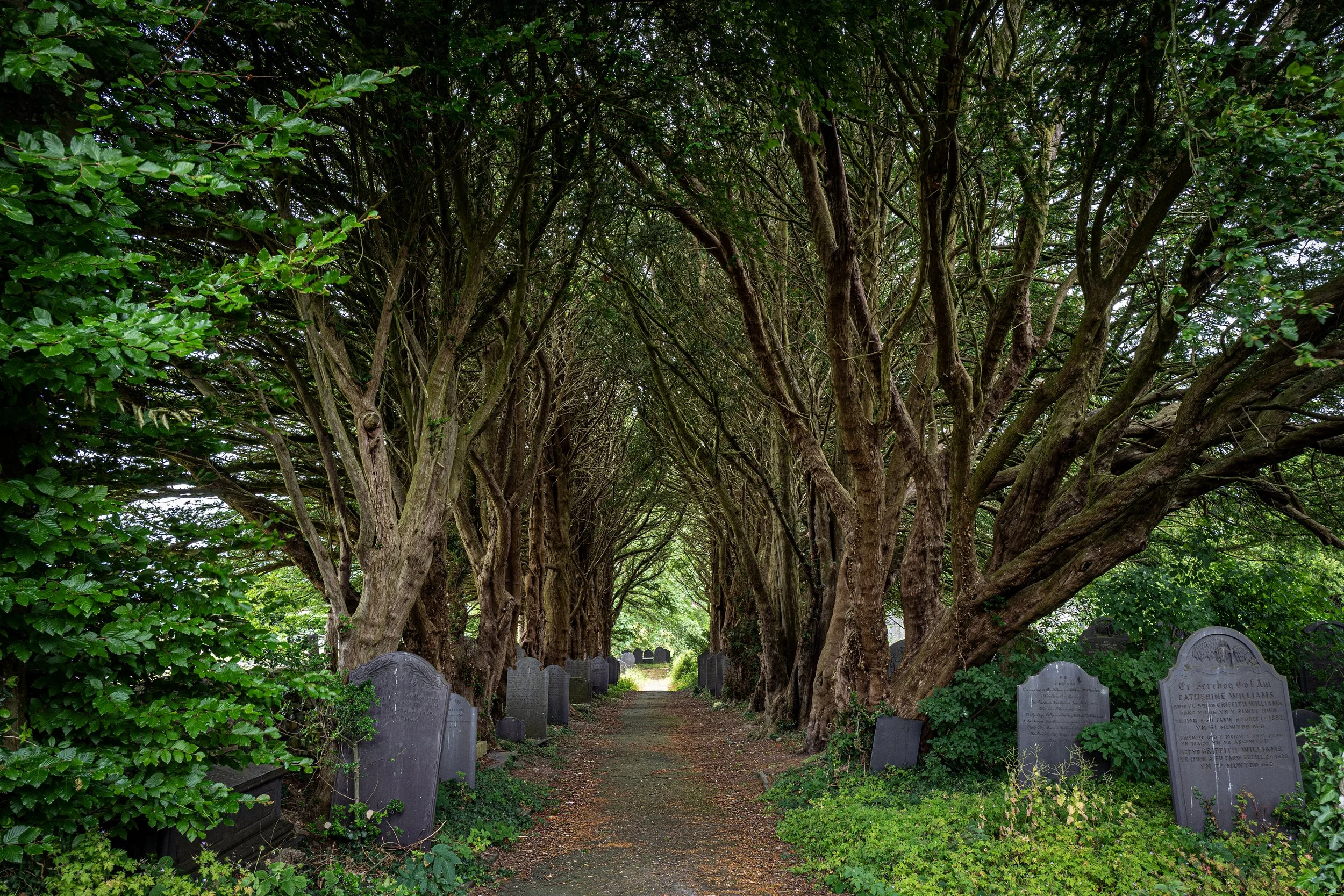 Bethesda, Wales