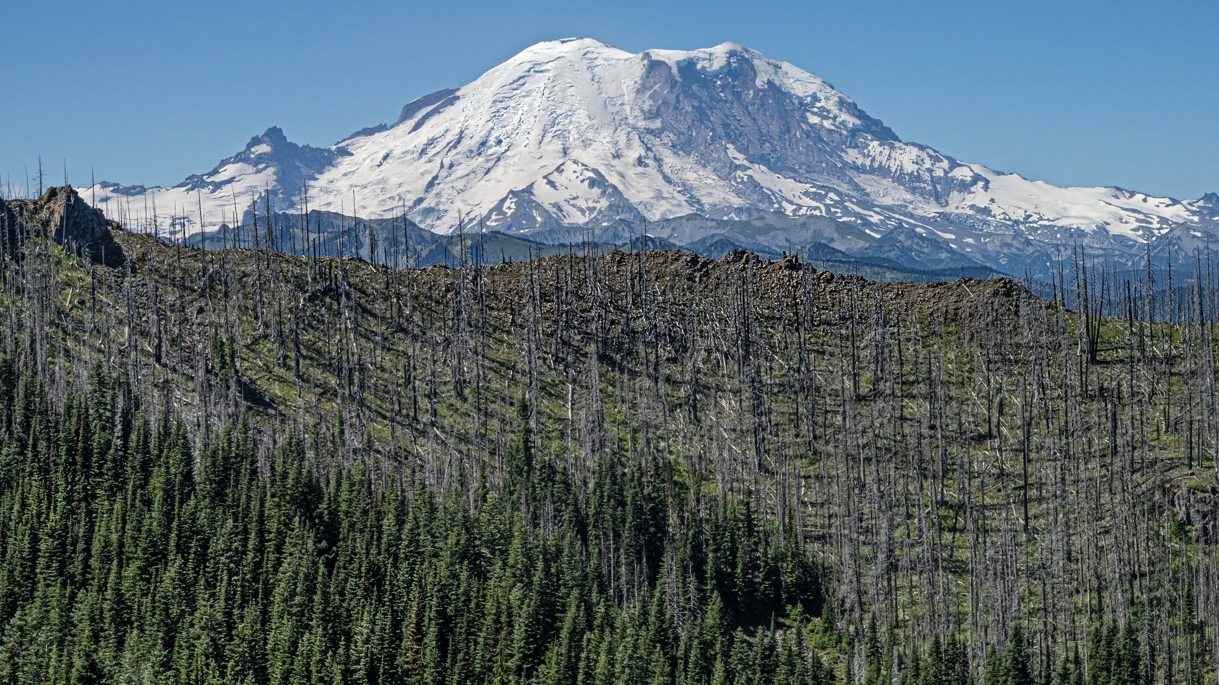 Mount Tahoma from the NE