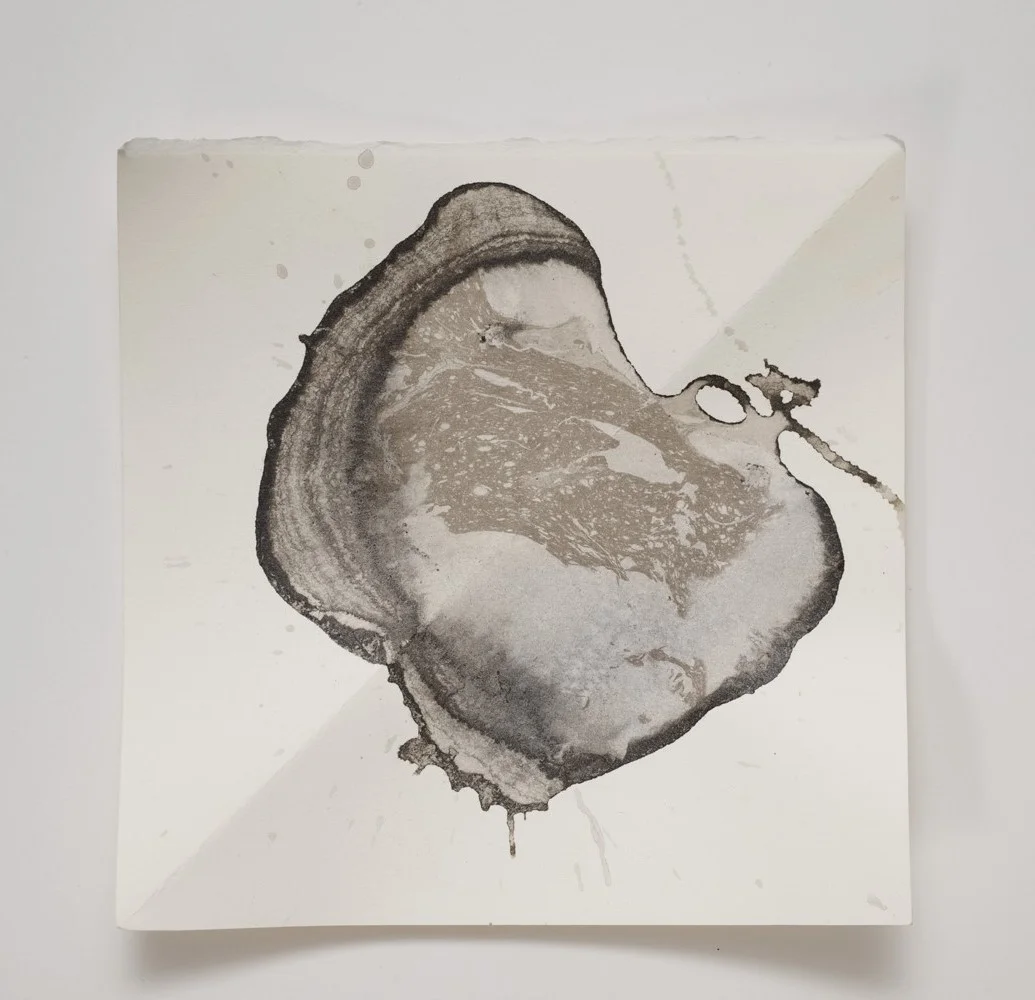  Evaporation, diagonal, &nbsp;2016, Ink on paper, 7 x 7 &nbsp;in., 18 x 18 cm. 