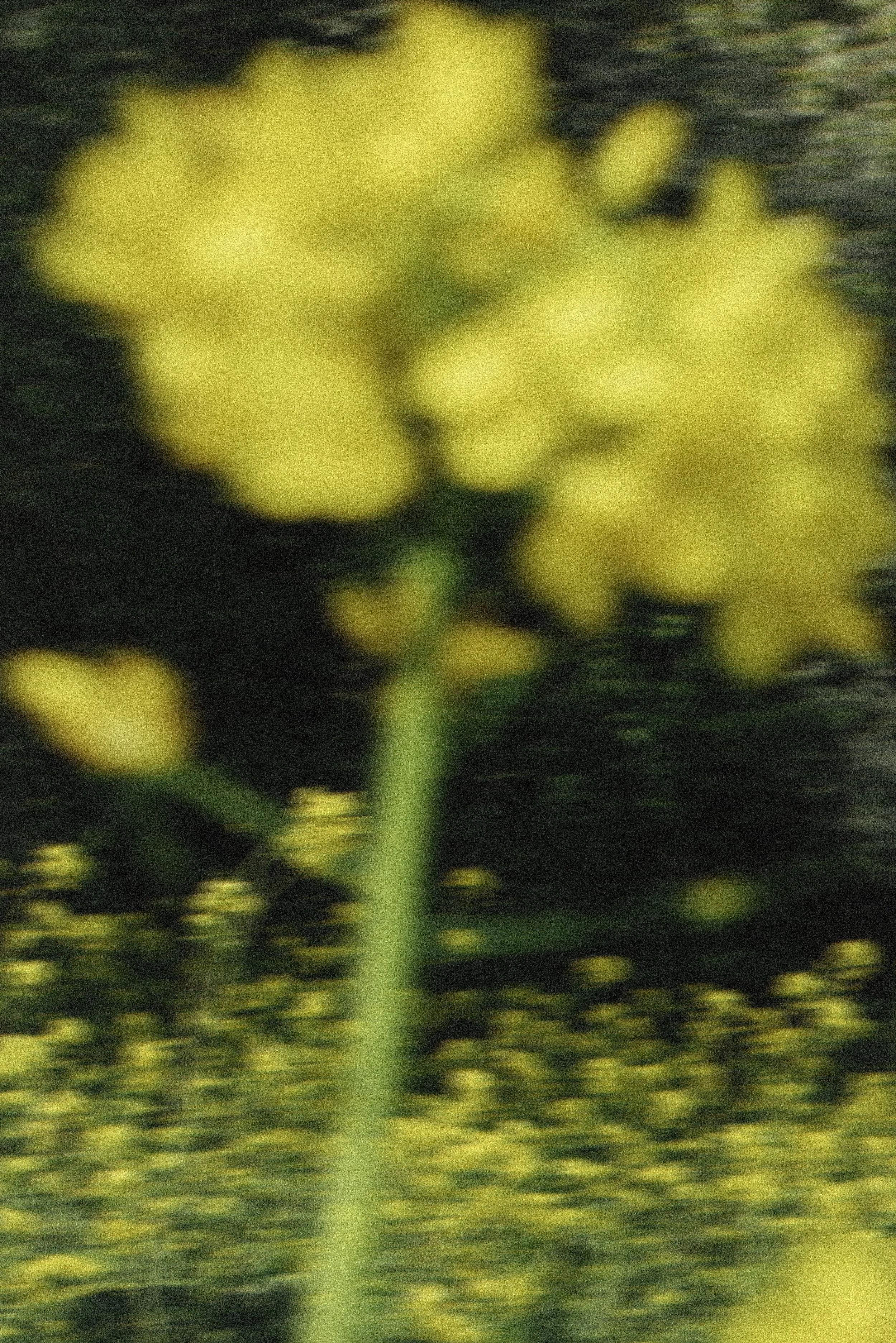 12042025_ASICS_Natural_Bloom_FW25_Look_04_0771-Enhanced-SR-bewerkt.jpg