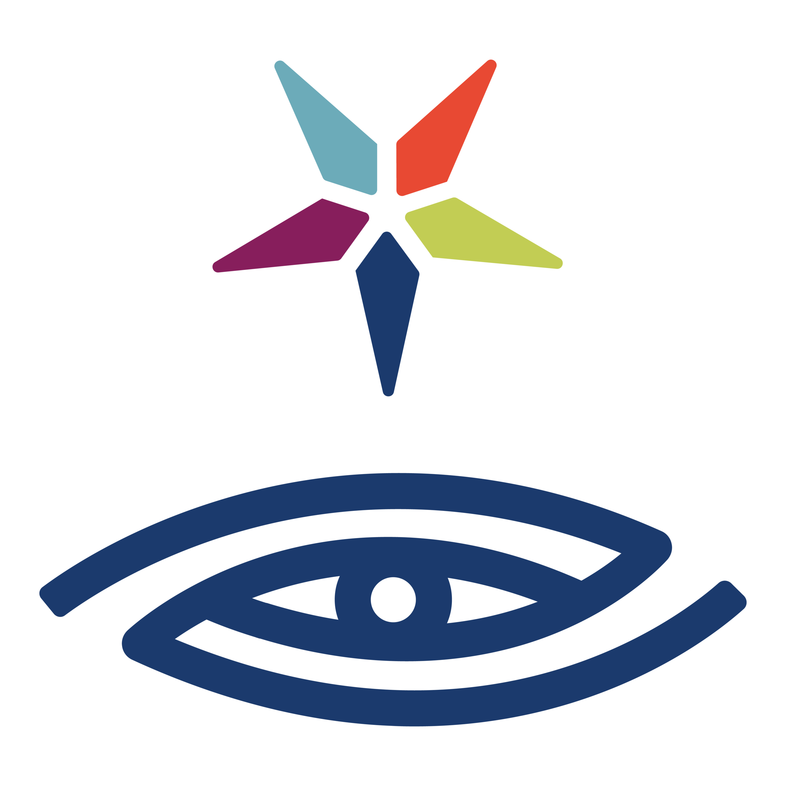 Metis-Logo Mark-CMYK.png
