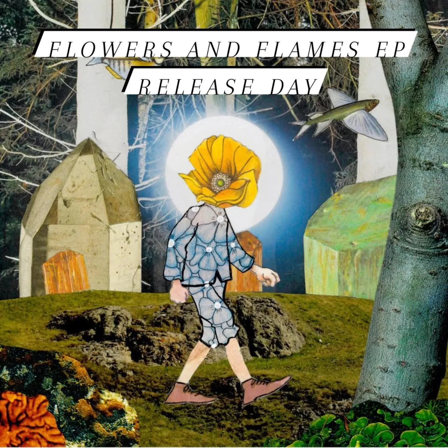 I have some news for you. Today is the release day of my latest EP, Flowers And Flames. This EP is dedicated to my father who passed in 2009. In Japan, the casket of the deceased is filled with beautiful flowers before the person is cremated, that wa