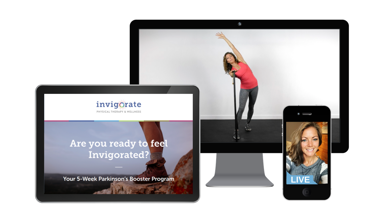 Need help getting moving? Want to work out on your own schedule? Click here to learn more about our online Parkinson's exercise program, The Booster.