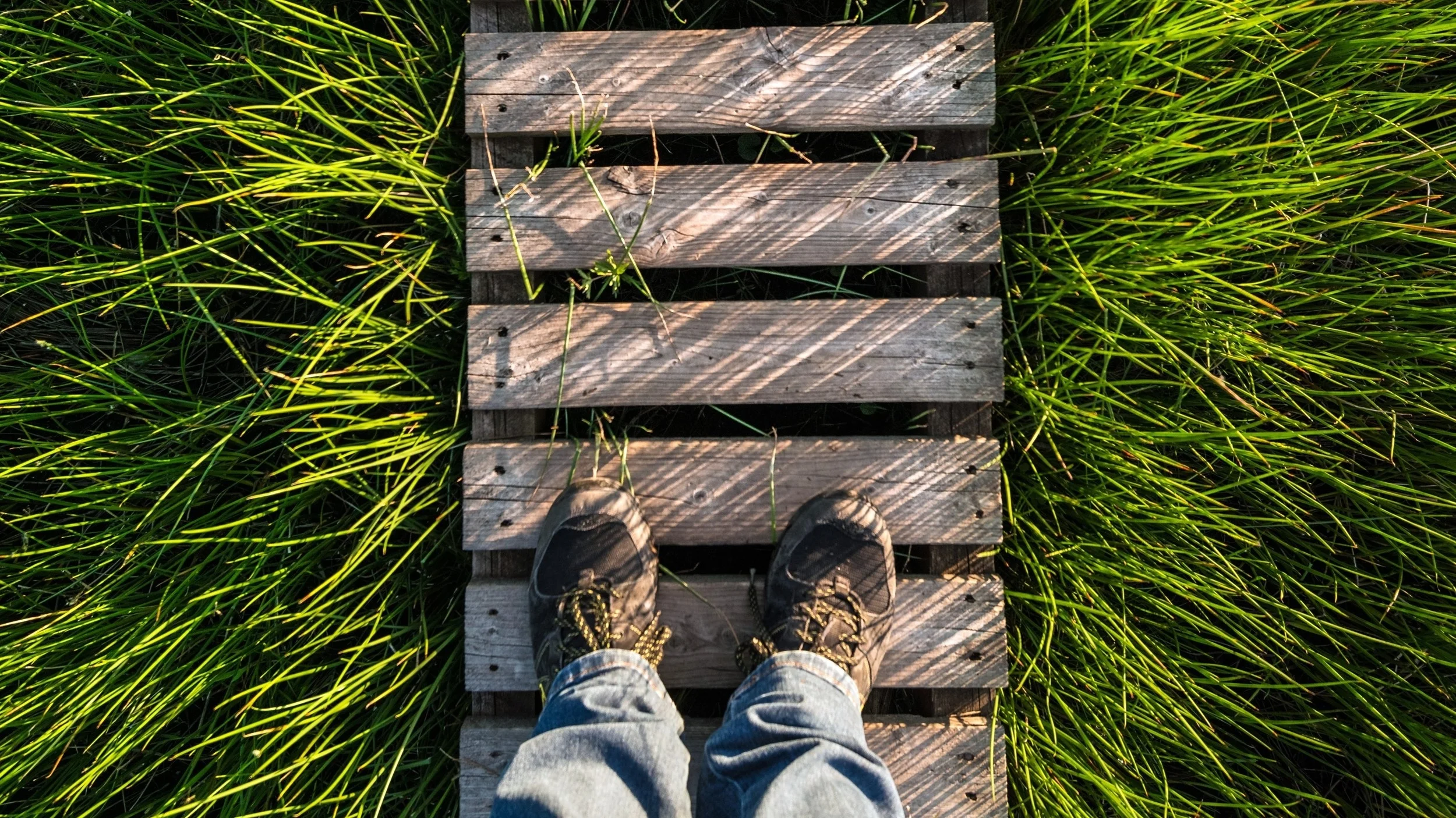 How to get Unstuck from a Parkinson's Freezing Episode - The "5S" Method 