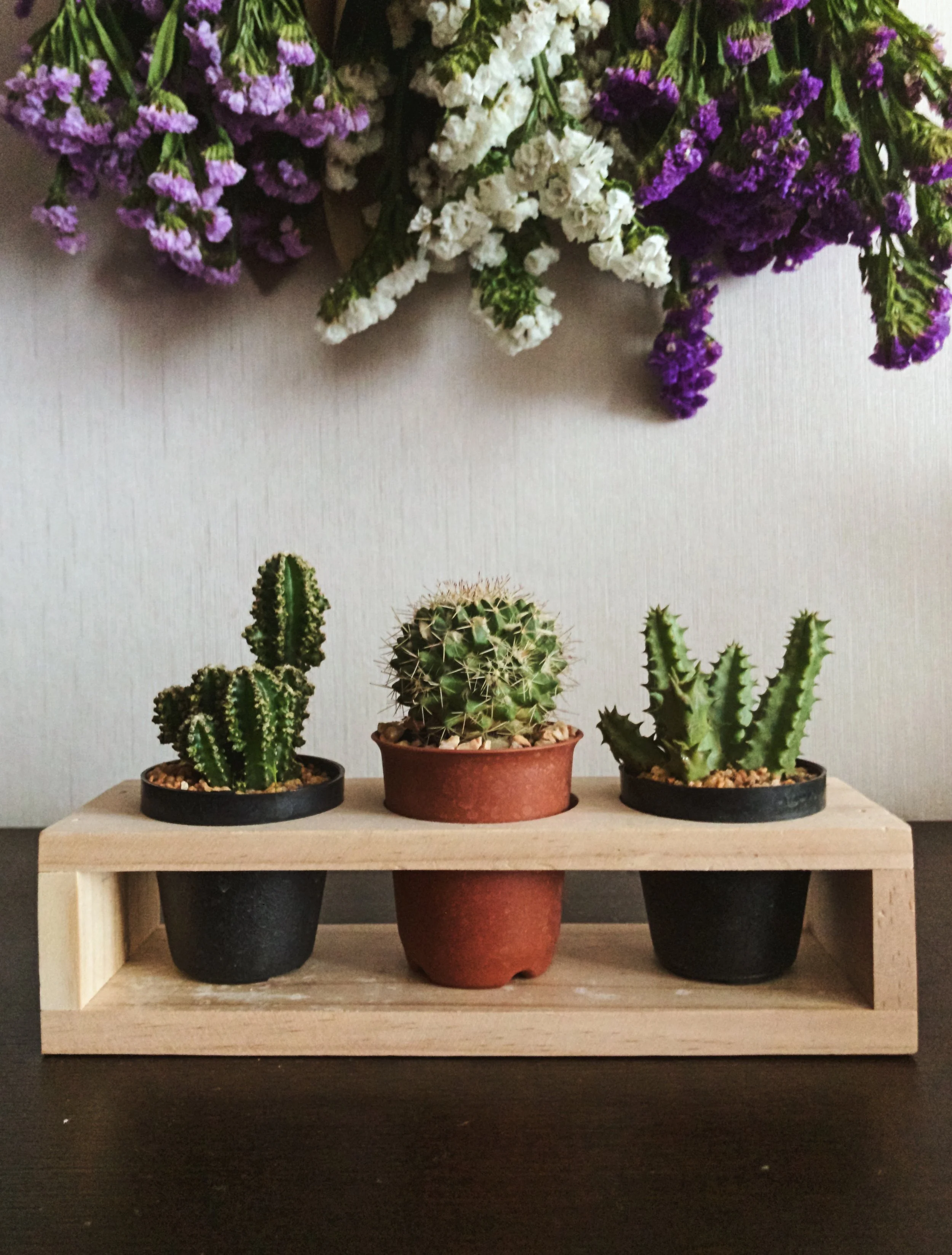 Desert Trio