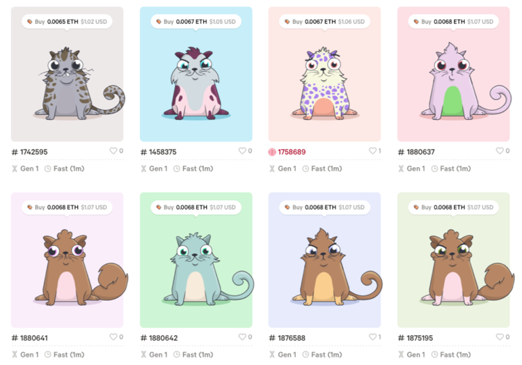 Some Kitties for sale on the CK  Marketplace