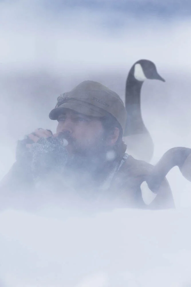 Goose caller in snow.jpg
