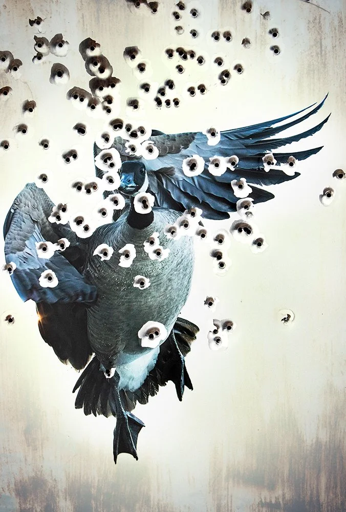 EP7A1378-Exposure copy.jpg