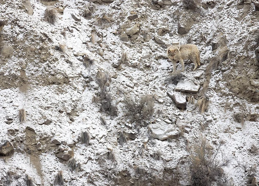 _20A6702-SharpenAI-Focus copy.jpg