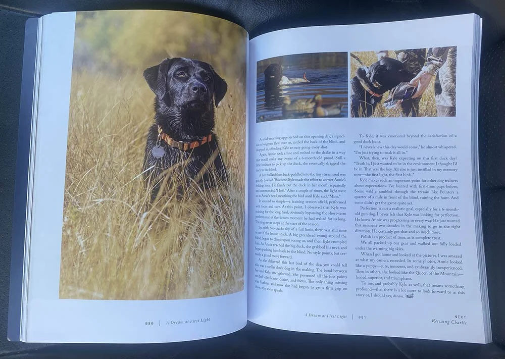 67778592519__25B60D9F-860C-46B1-A9AA-D575C89FDE5F copy.jpg