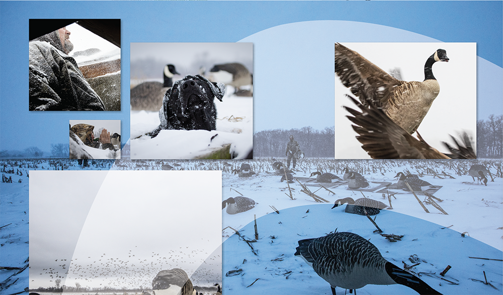 Screen Shot 2022-07-19 at 2.31.20 PM.png