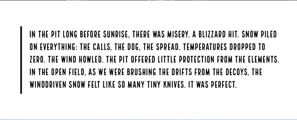 Screen Shot 2022-07-19 at 2.30.48 PM.png