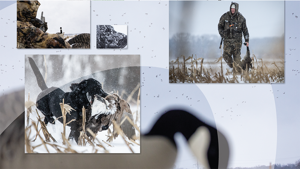 Screen Shot 2022-07-19 at 2.32.00 PM.png