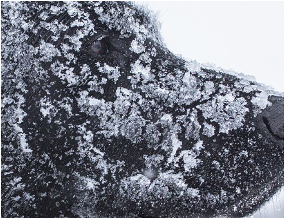 Screen Shot 2022-07-19 at 2.32.10 PM.png