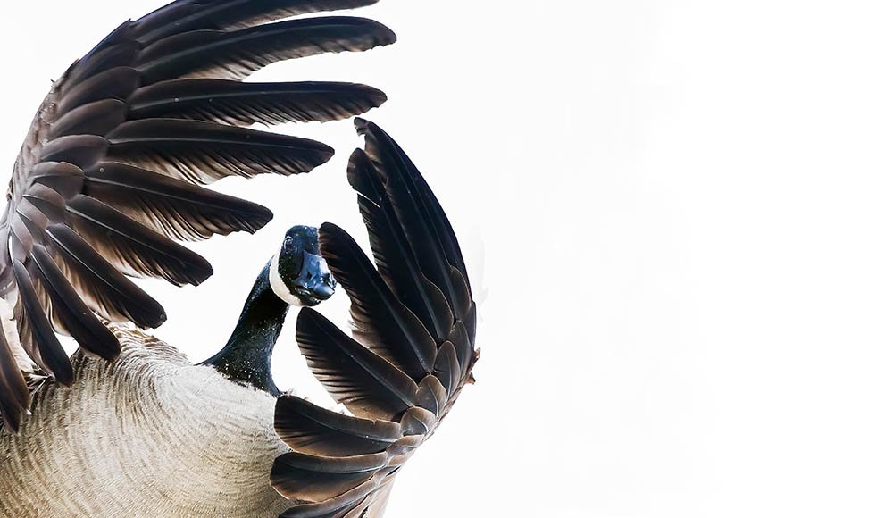 DK9T4865c-SharpenAI-Softness copy.jpg