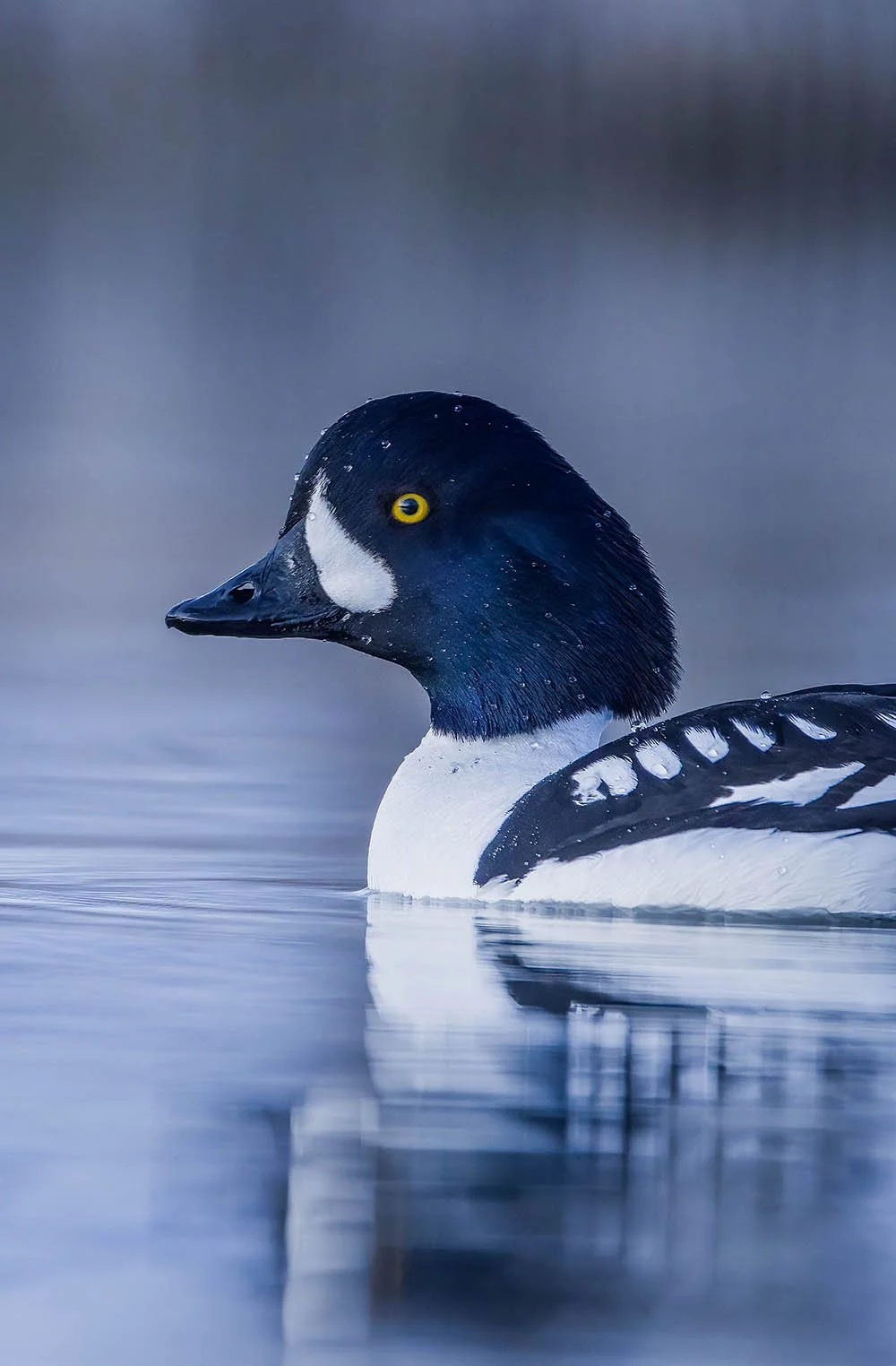 _20A7564-SharpenAI-Focus copy.jpg