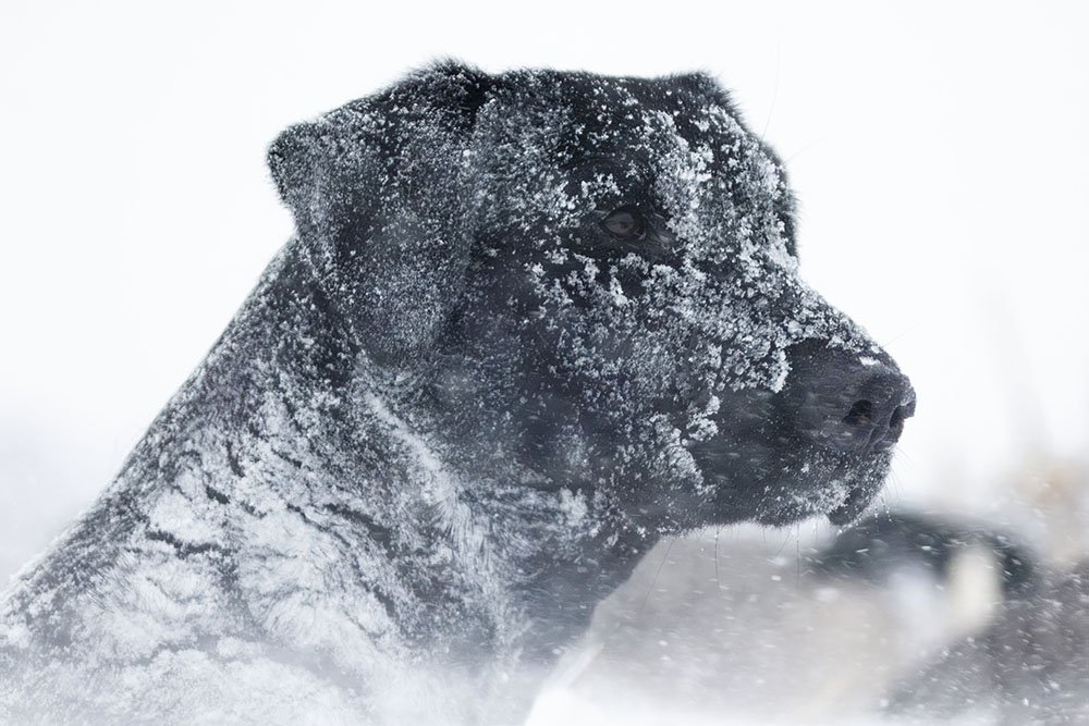 EP7A4184--rawdenoise-sharpen copy.jpg