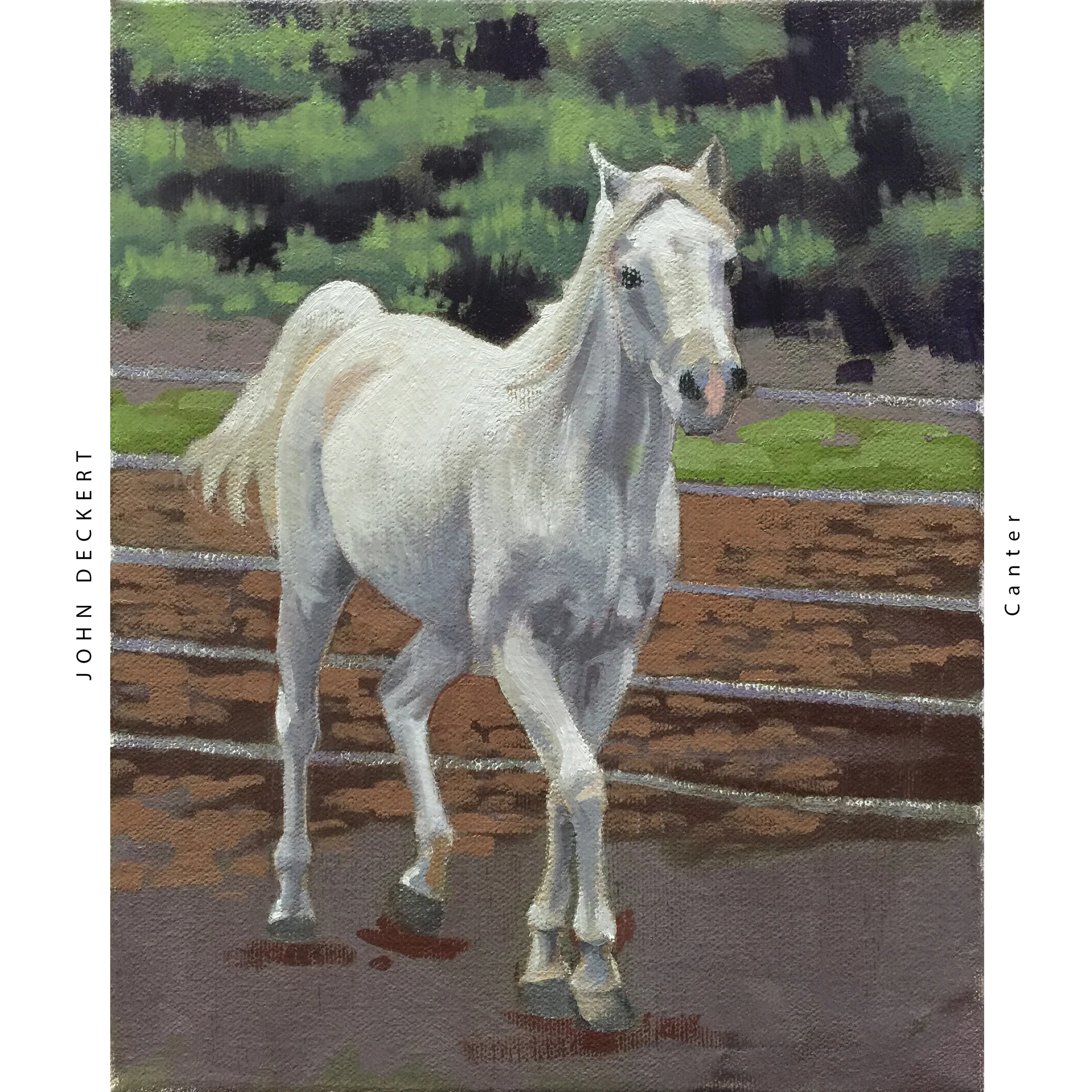 canter.jpg