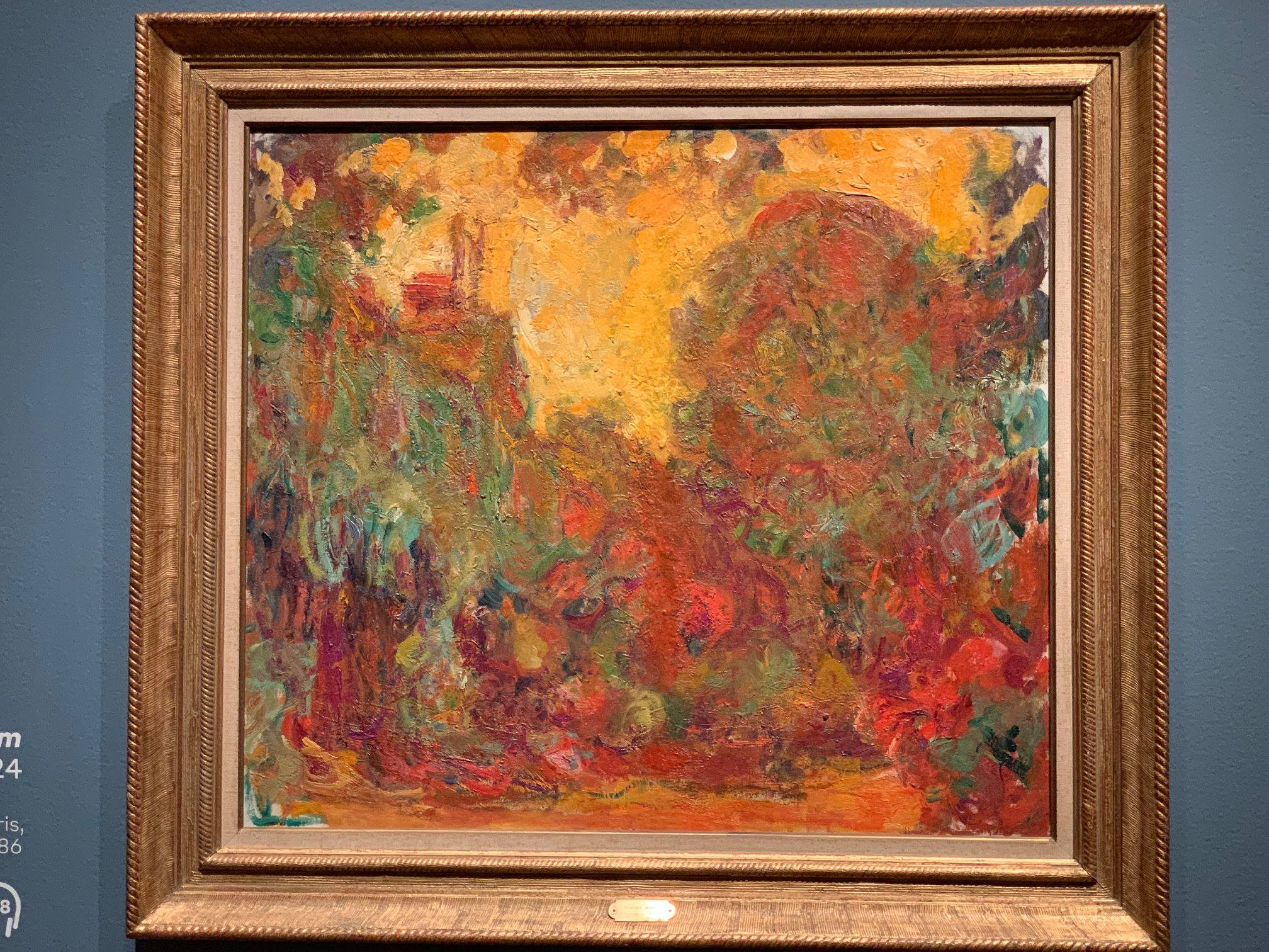 Monet, the old man, mad about painting.