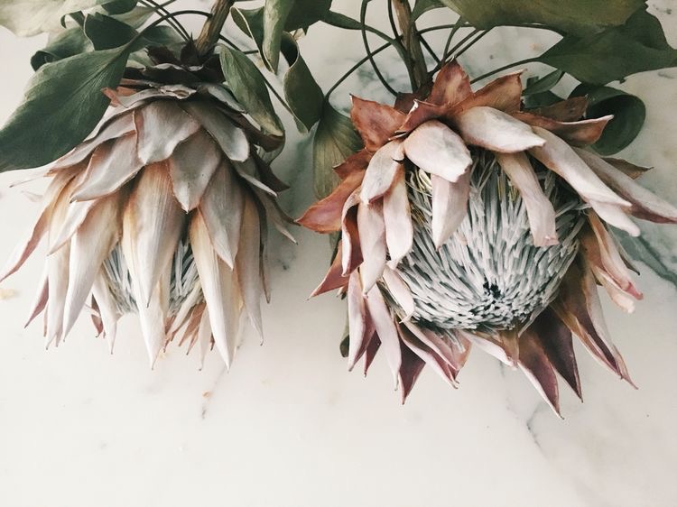 Florals2.JPG