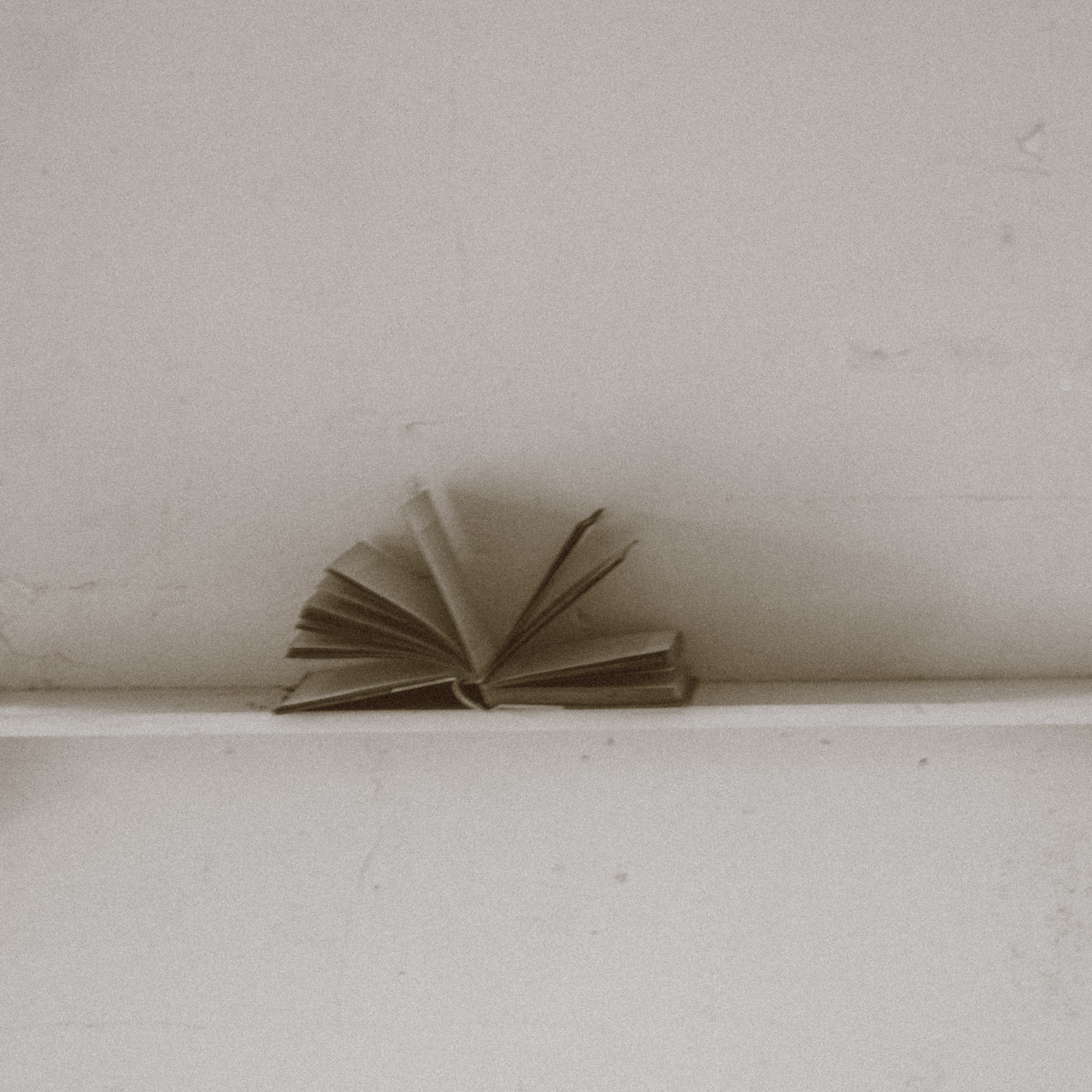 untitled-0805.jpg