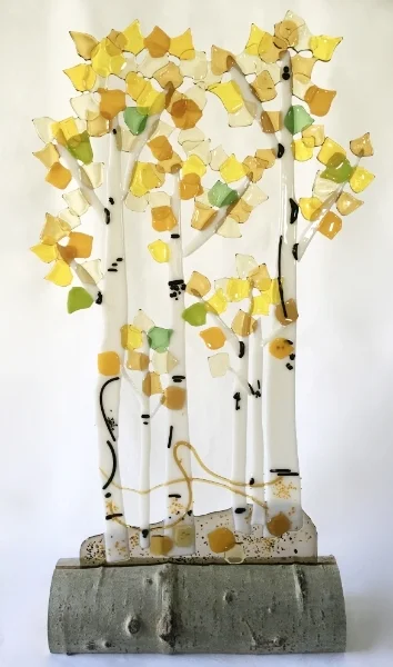 aspen trees in aspen log stand