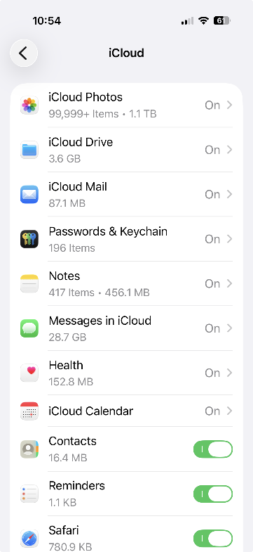iCloud app settings showing items to enable