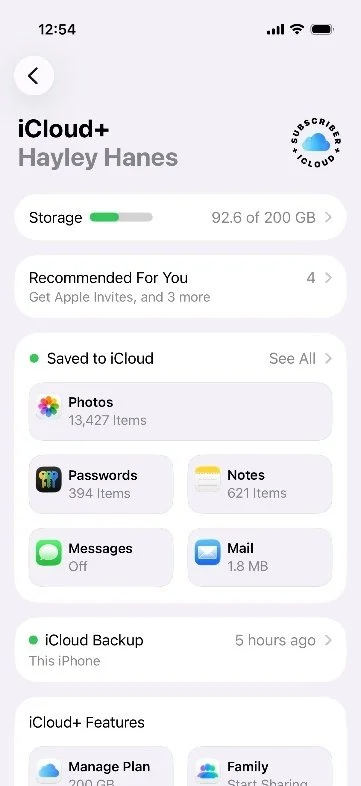 iCloud screen showing See All