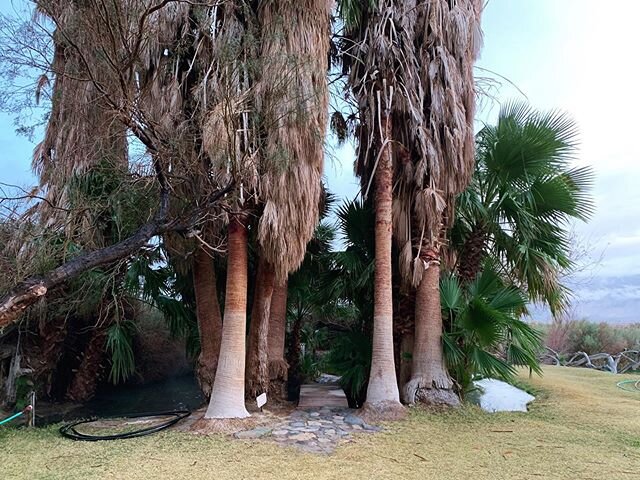 Somewhere far from cell service are palm trees, warm springs, and an ever changing desert scape ready to give and take.
.
This place always seems to be the reconstruction I need after the deconstruction. The embodiment I need after the headiness. It&
