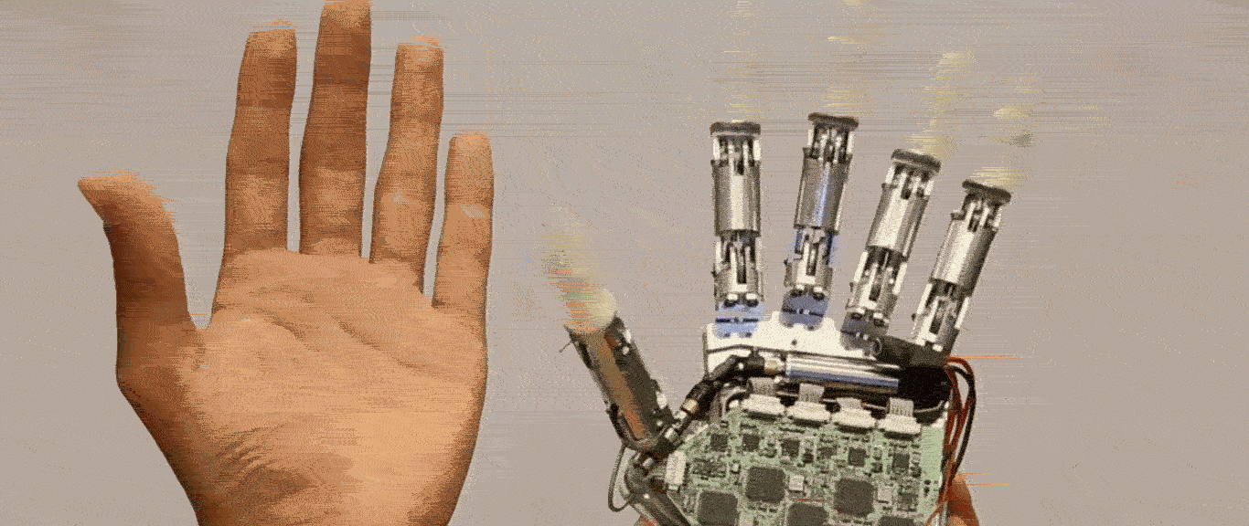 hand2-1366x576.gif