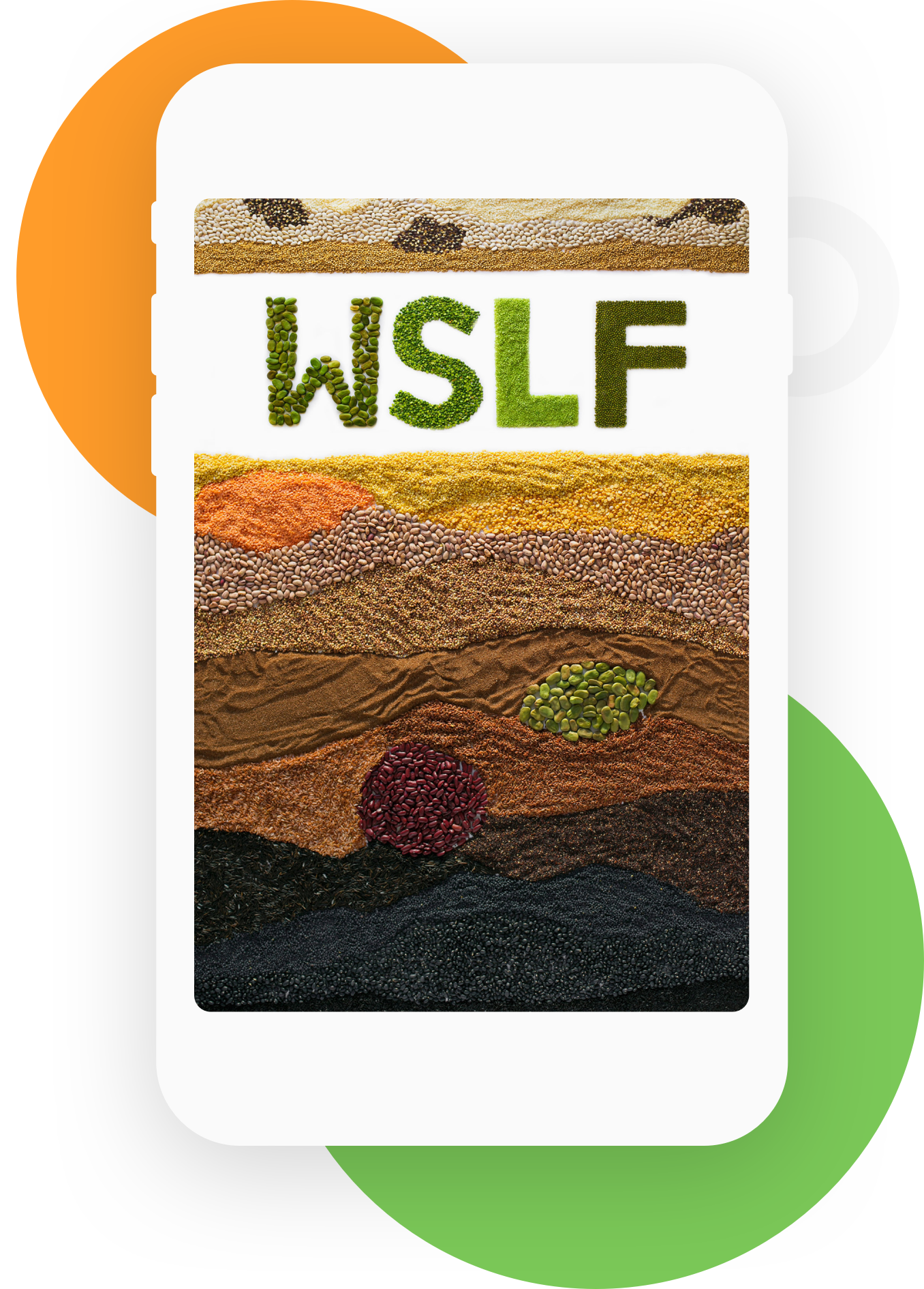 WSLF on iPad3.png