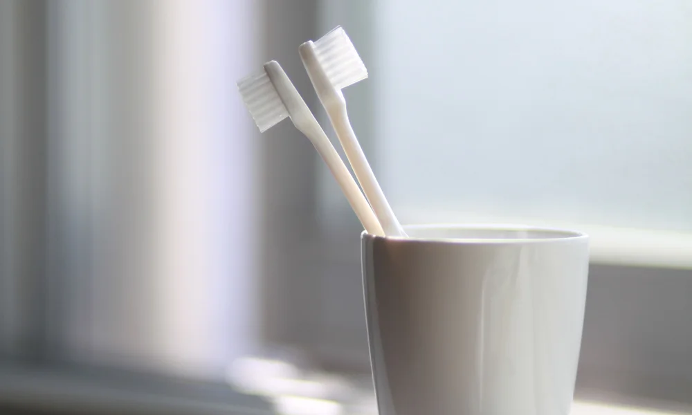 2 receitas naturais indispensáveis para o dia a dia