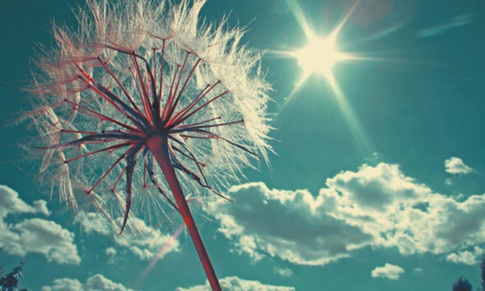 Em caso de reprovação, não se desespere