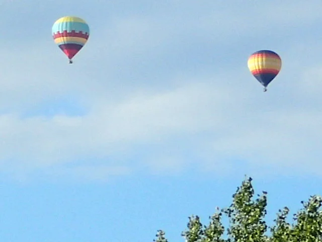 P8180016.JPG