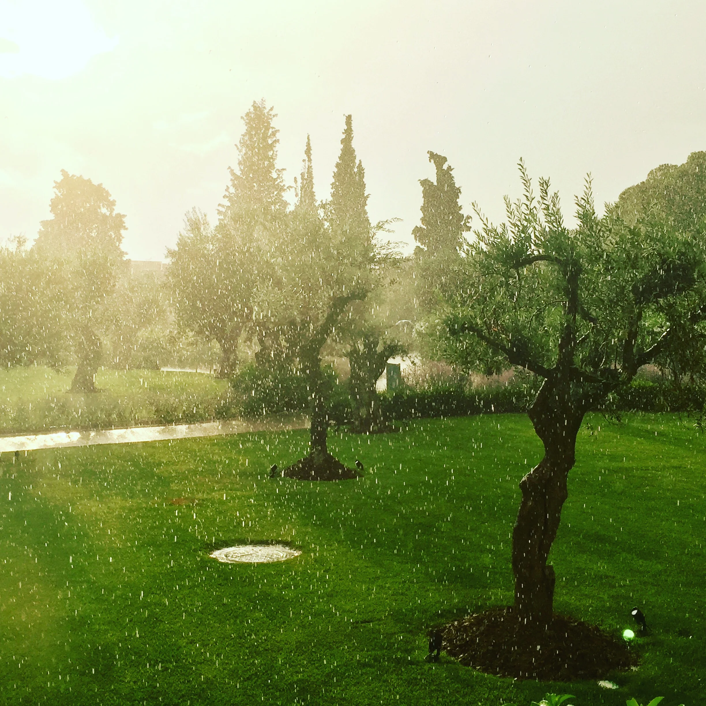 IMG_1571.JPG