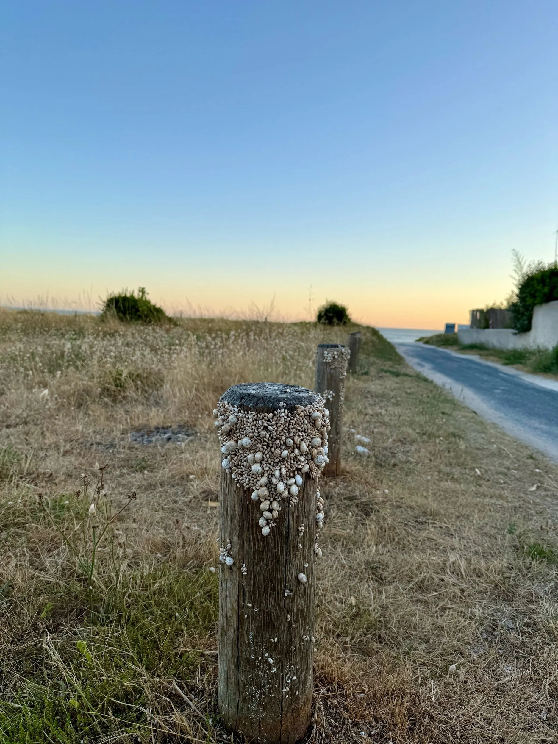 IMG_6304.jpeg