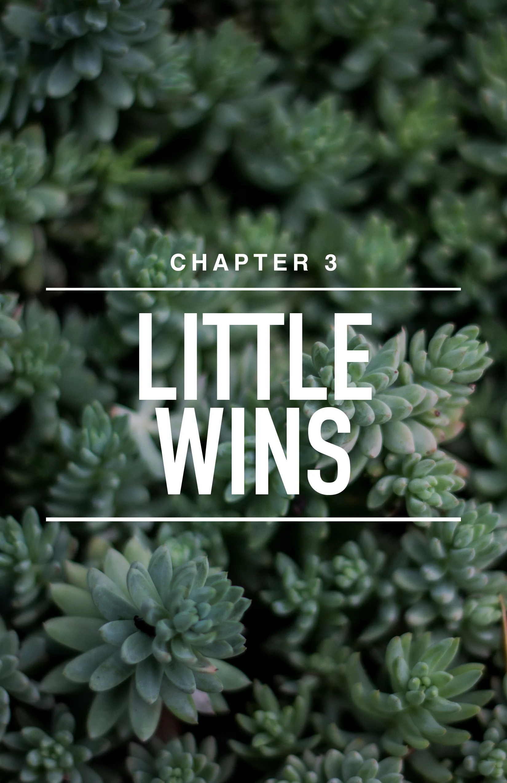 CH 3: Little Wins