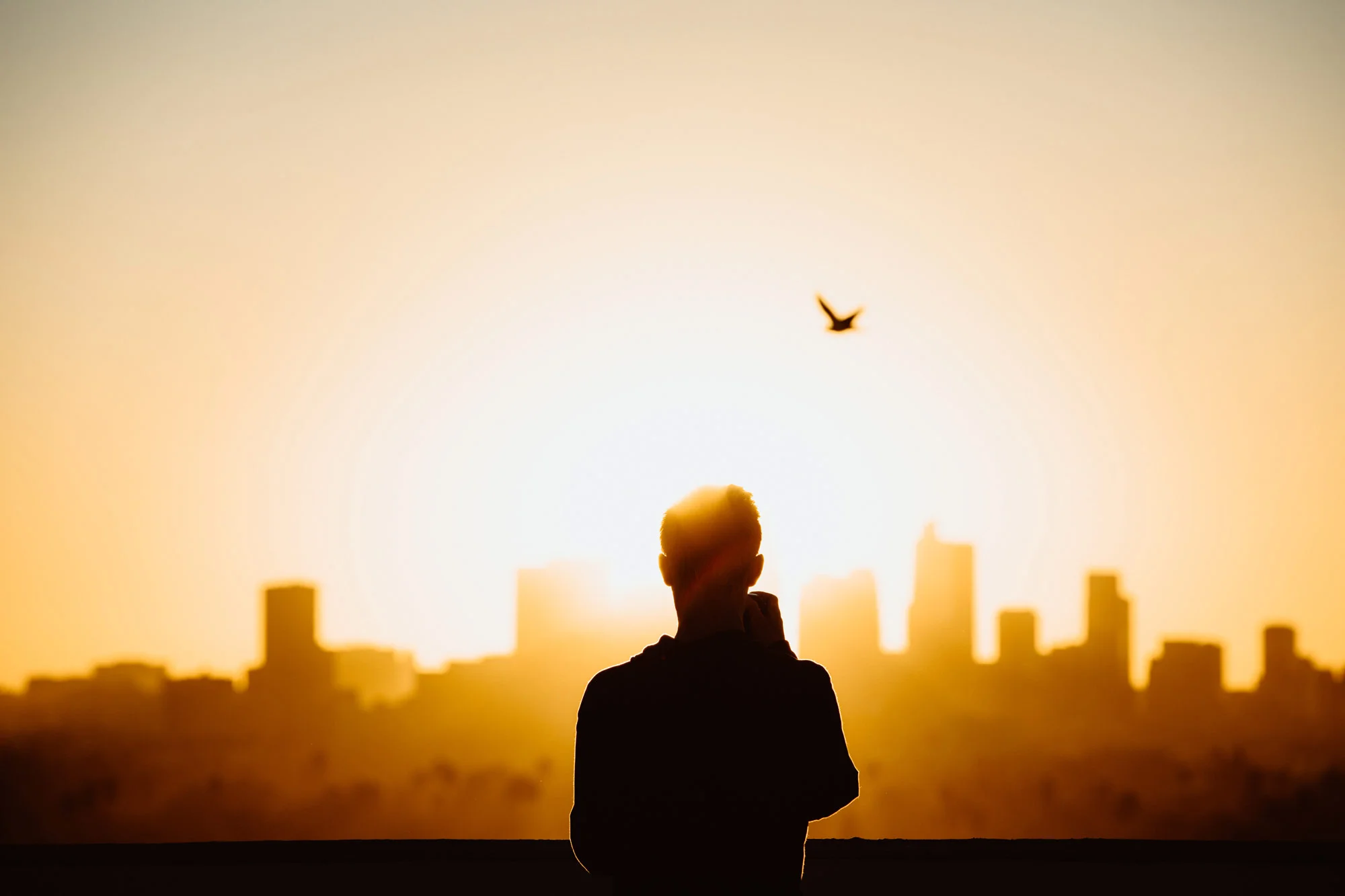 nathan-dumlao-1115419-unsplash-web.jpg